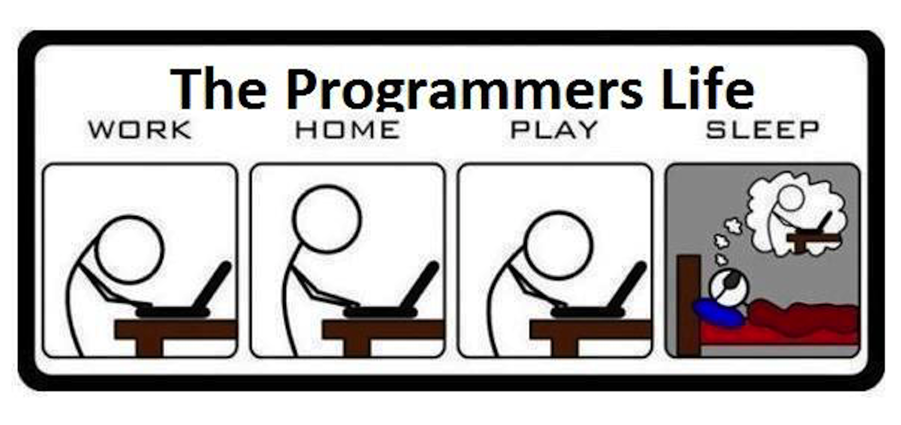 The Programmer's Life